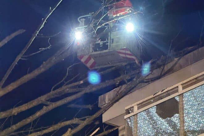 Feuerwehr und THW beseitigen umgestürzten Baum in Hattingen