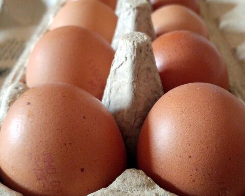 Ein Korb mit frischen Eiern und Osterdeko, symbolisiert knappe, aber gesicherte Eierversorgung.