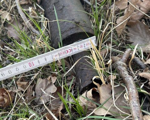 Ein Waldstück mit einer entsorgten Granate, Polizeibeamte und Kampfmittelspezialisten im Hintergrund.