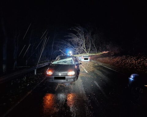 Fallen Baum beschädigt Autos, Feuerwehr räumt auf, Unfallstelle mit Polizei und Rettungskräften.