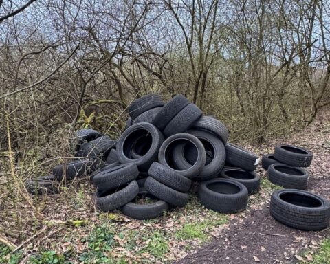 Illegale Altreifenentsorgung in der Natur: Reifen auf Feldweg und im Wald abgelegt.