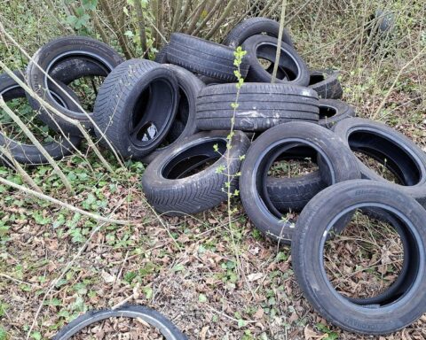 Illegale Reifenlagerung im Rebengelände: Altreifen zwischen Köndringen und Mundingen entdeckt.