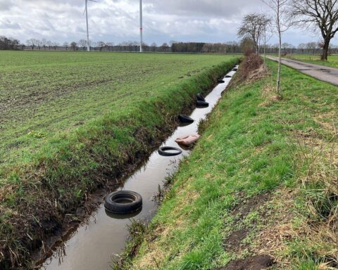 Illegale Müllentsorgung: Altreifen und Fahrzeugteile entlang einer Straße, Polizei ermittelt.