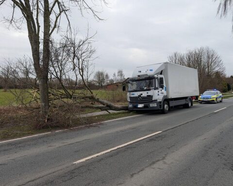 LKW-Unfall auf Landesstraße 124: Fahrzeug prallt gegen Baum, Fahrer bleibt unverletzt.