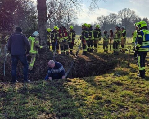 Ponyrettung: Feuerwehr befreit unterkühltes Pony aus Graben, tierärztliche Überwachung inklusive.