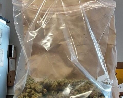 Drogenbeschlagnahmung: Haschisch, Marihuana und Mobiltelefone bei Polizeiaktion in Wuppertal sichergestellt.