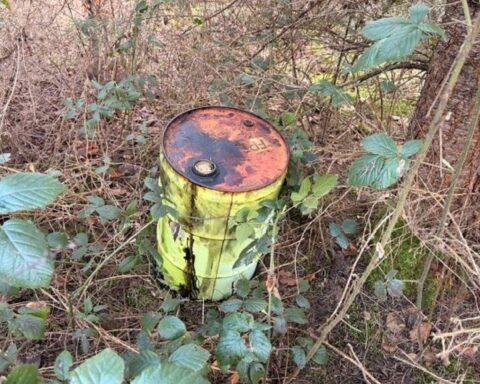 Ölfässer und Kanister im Wald, illegale Ablagerung, Polizei sucht Zeugen.