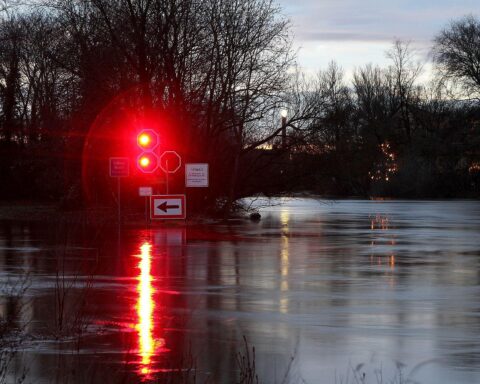 Bild eines ruhigen Flusses mit einem Durchfahrtsverbotsschild, umgeben von Natur.