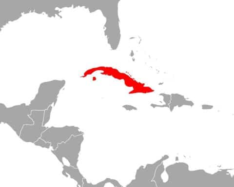Öltanker vor Kubas Küste, Symbol für Energiekrise und geopolitische Spannungen.