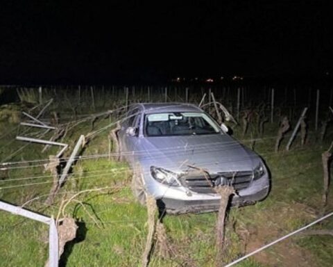 Verunfalltes Auto im Weinberg, beschädigte Rebstöcke, Polizei sucht flüchtigen Fahrer.