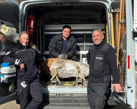 Entschärfung einer Weltkriegsbombe, Einsatzkräfte und sicherer Rückkehr der Anwohner in Köln.