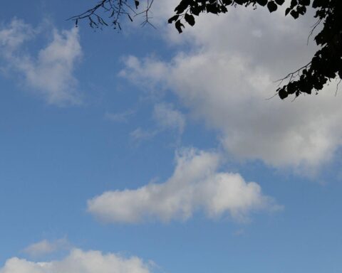 Helle Sonne über blauem Himmel, wenige Wolken, frühlingshafte Temperaturen in Baden-Württemberg.