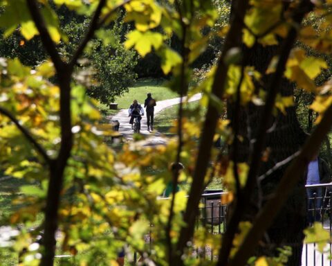 Ein sonniger Herbsttag mit Nebelfeldern und milden Temperaturen in Baden-Württemberg.