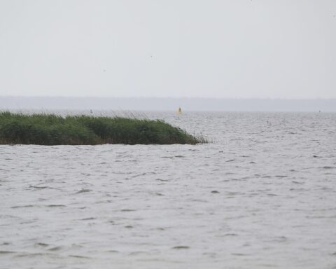 Stettiner Haff mit bewölktem Himmel, Regen und schwachem Wind, typisch für Mecklenburg-Vorpommern.