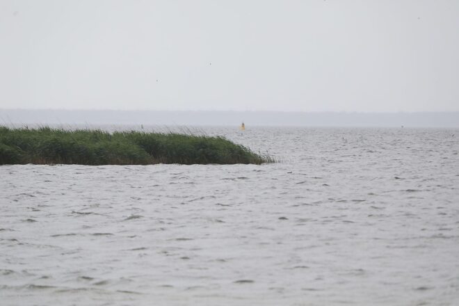 Wetterbericht für Mecklenburg-Vorpommern (15.03.2026)