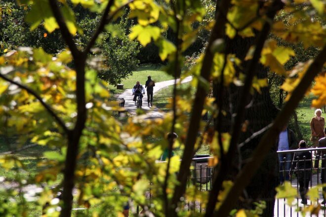 Wetterbericht für Rheinland-Pfalz/Saarland (02.03.2026)