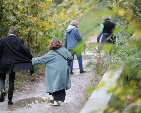 Sonniger Frühlingstag in Sachsen: Menschen spazieren bei milden Temperaturen und blauem Himmel.