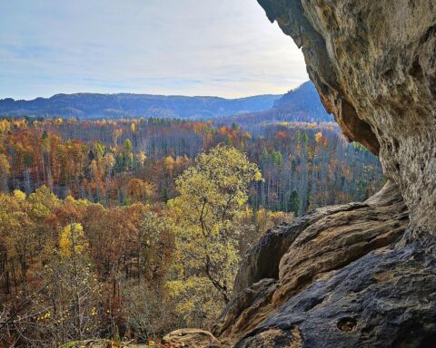 Sonnige Landschaft der Sächsischen Schweiz, milde Temperaturen, blauer Himmel und sanfte Hügel.