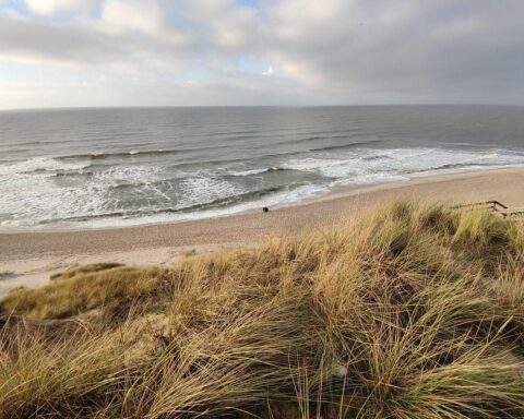 Dünen am Strand unter blauem Himmel, lächelnde Sonne und frühlingshafte Temperaturen.