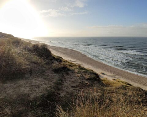 Sonniger Strand mit Dünen unter blauem Himmel in Schleswig-Holstein und Hamburg.