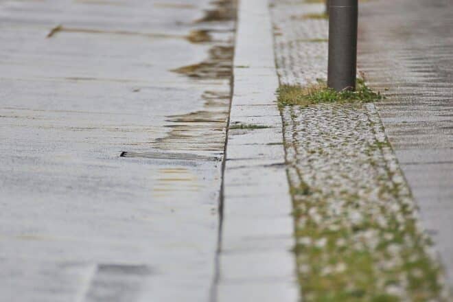 Wetterbericht für Schleswig-Holstein/Hamburg (13.03.2026)