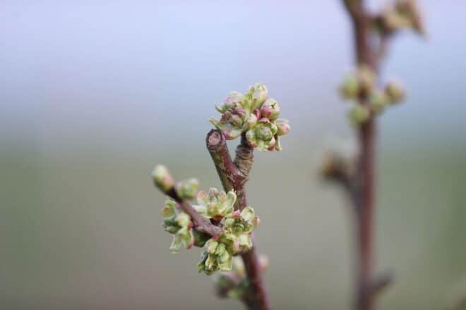 Wetterbericht für Thüringen (10.03.2026)