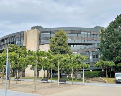 Junge Menschen zeigen sinkende Zufriedenheit mit Demokratie, Landtag NRW im Hintergrund.