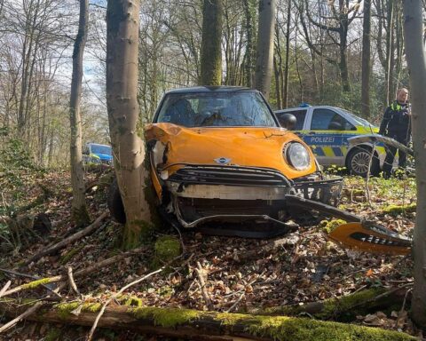 Alkoholisierter Fahrer durchbricht Leitplanke, landet im Gebüsch nach Verfolgungsjagd. Polizei vor Ort.