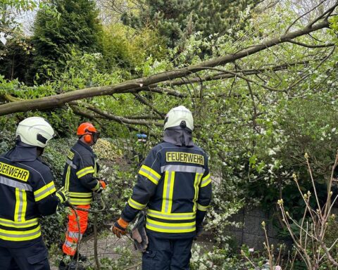 Ein umgestürzter Baum auf einem Wohnhaus, Feuerwehr im Einsatz, starker Wind.