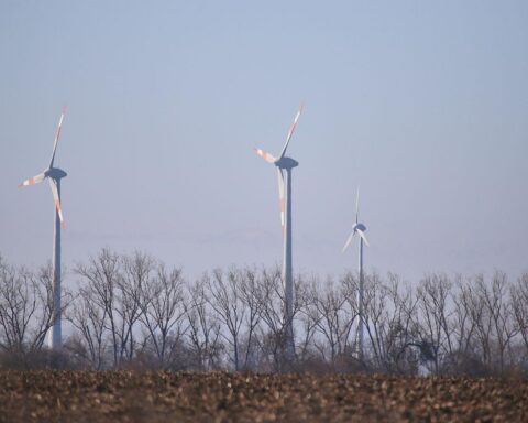 Windräder symbolisieren den Rückgang der Treibhausgas-Emissionen durch erneuerbare Energien in Brandenburg.