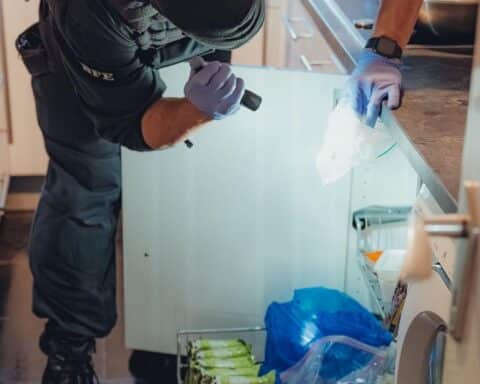 Bundespolizei durchsucht Wohnungen, verhaftet Verdächtige, sichert Beweismittel gegen illegale Prostitution.