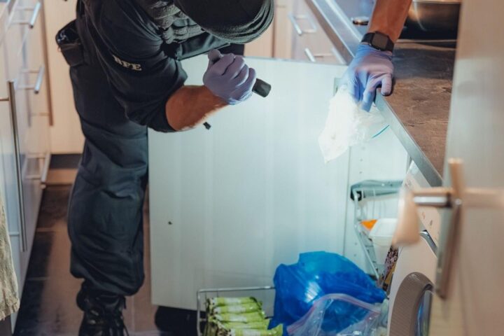 Bundespolizei durchsucht Wohnungen, verhaftet Verdächtige, sichert Beweismittel gegen illegale Prostitution.
