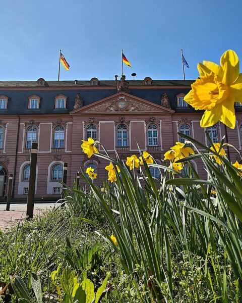Ministerpräsident Gordon Schnieder präsentiert Koalitionsprogramm von CDU und SPD im Landtag Rheinland-Pfalz.