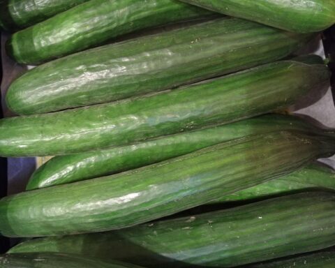 DGB-Vorsitzende Yasmin Fahimi diskutiert Steuerreform, Fokus auf Unterstützung für Geringverdiener.