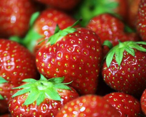 Erdbeeren im Freiland, Symbol für erfolgreiche Ernte in Nordrhein-Westfalen, gute Absatzzahlen.