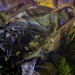 Zerstörtes Auto im Wald, Feuerwehrkräfte suchen nach weiteren Personen, Überlebensgeschichte des Fahrers.