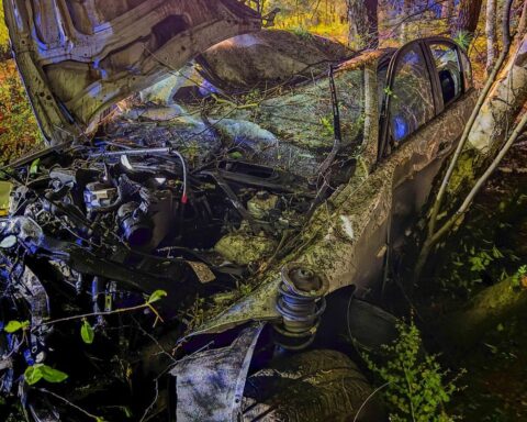 Zerstörtes Auto im Wald, Feuerwehrkräfte suchen nach weiteren Personen, Überlebensgeschichte des Fahrers.