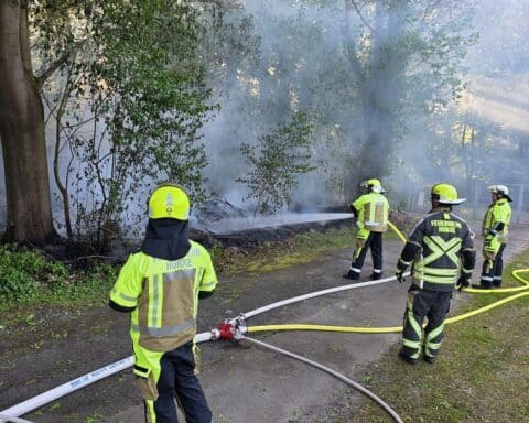 Feuerwehrleute löschen Waldbrand in Hünxe, umgeben von rauchenden Baumstämmen und verbranntem Unterholz.