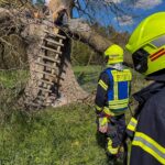 Feuerwehr im Einsatz zur Bekämpfung von Bränden in Wienhausen: Hochsitz und Wohngebäude betroffen.