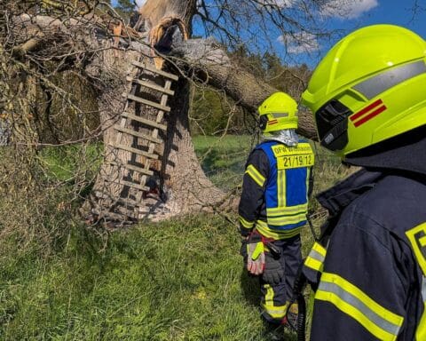 Feuerwehr im Einsatz zur Bekämpfung von Bränden in Wienhausen: Hochsitz und Wohngebäude betroffen.