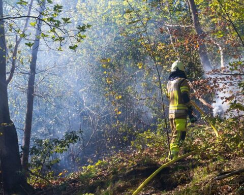Einsatzkräfte der Feuerwehr löschen Flächenbrand im Iserlohner Wald mit C-Rohren und Trupps.