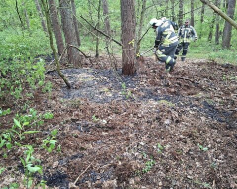 Feuerwehr löscht Vegetationsbrand im Wald, Einsatzkräfte mit Kübelspritze und Löschrucksäcken im Einsatz.