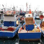 Schiffe im Hafen mit Fokus auf nachhaltige Fischerei und Meeresschutz in der Ostsee.