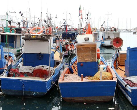 Schiffe im Hafen mit Fokus auf nachhaltige Fischerei und Meeresschutz in der Ostsee.