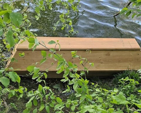 Ein leerer Sarg am Mainufer in Mühlheim, Polizei sucht nach dem Besitzer.