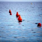 Bojen im Meer, Symbol für die Herausforderungen im Naturschutz und den Buckelwal "Timmy".
