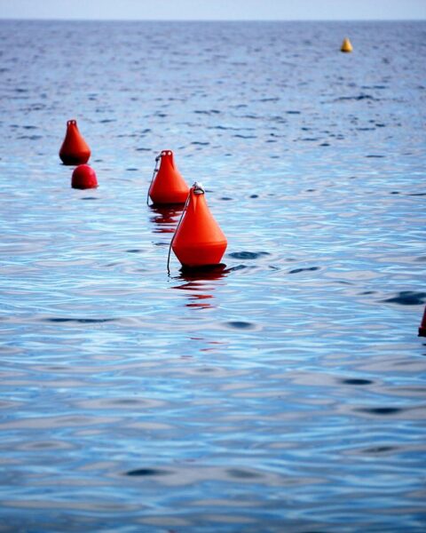 Bojen im Meer, Symbol für die Herausforderungen im Naturschutz und den Buckelwal "Timmy".