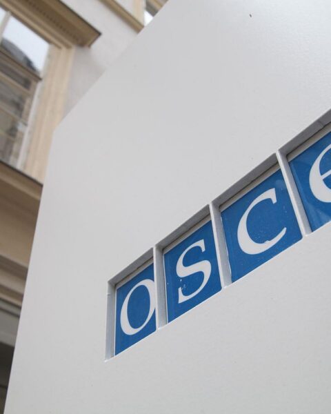 OSZE-Präsident verteidigt Wahlbeobachtung in Ungarn trotz EU-Kritik und Vorwürfen gegen Mitarbeiterin.