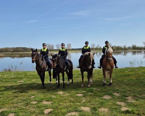 Polizeireiter im Biosphärenreservat Niedersächsische Elbtalaue schützen die Natur und informieren Besucher.