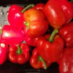 Bunte Paprika als Symbol für gesunde Lebensmittel, die von der Mehrwertsteuer befreit werden sollen.